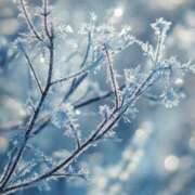 ヒメ日記 2026/01/16 19:56 投稿 大沢しずく 宇都宮CLUB