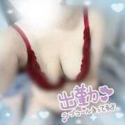 ヒメ日記 2025/12/14 10:26 投稿 倖田しの 宇都宮CLUB