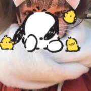 ヒメ日記 2025/12/15 18:25 投稿 ヒナ(未経験) secretgirl大阪