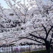 ヒメ日記 2026/04/04 12:17 投稿 小熊ゆう アロマージュ大宮