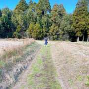 ヒメ日記 2025/12/31 12:42 投稿 あまね 鹿児島ちゃんこ 薩摩川内店