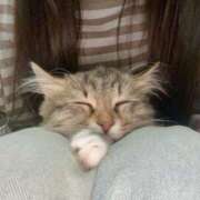 ヒメ日記 2026/01/09 09:48 投稿 あまね 鹿児島ちゃんこ 薩摩川内店