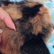 ヒメ日記 2026/03/22 22:18 投稿 あまね 鹿児島ちゃんこ 薩摩川内店