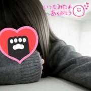 ヒメ日記 2026/04/07 11:09 投稿 あまね 鹿児島ちゃんこ 薩摩川内店