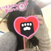 ヒメ日記 2026/04/09 11:23 投稿 あまね 鹿児島ちゃんこ 薩摩川内店