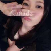 ヒメ日記 2026/02/18 07:01 投稿 カナデ秘書 秘書の品格 クラブアッシュ ヴァリエ