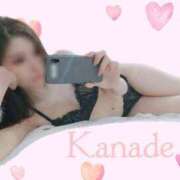 ヒメ日記 2026/03/18 03:15 投稿 カナデ秘書 秘書の品格 クラブアッシュ ヴァリエ