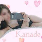 ヒメ日記 2026/03/18 03:28 投稿 カナデ秘書 秘書の品格 クラブアッシュ ヴァリエ