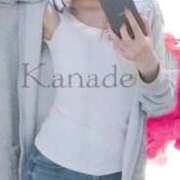 カナデ秘書 週末の打ち合わせ✍️ 秘書の品格 クラブアッシュ ヴァリエ