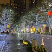 ヒメ日記 2025/12/09 04:14 投稿 みらん 花影（かえい）