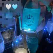 ヒメ日記 2025/12/09 10:58 投稿 みらん 花影（かえい）