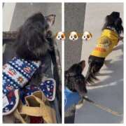 ヒメ日記 2025/12/10 19:37 投稿 みらん 花影（かえい）