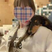 ヒメ日記 2025/12/19 00:17 投稿 みらん 花影（かえい）