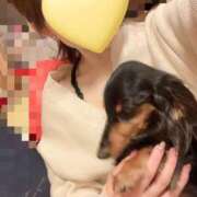 ヒメ日記 2026/01/29 21:00 投稿 みらん 花影（かえい）