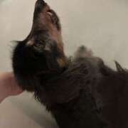 みらん 2月！ 花影（かえい）