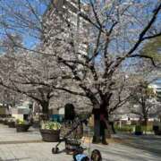 みらん 4月スタート 花影（かえい）