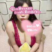 ヒメ日記 2025/12/11 20:41 投稿 まりこ KIREI（五反田）