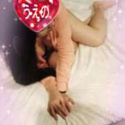 ヒメ日記 2026/02/19 11:41 投稿 上野 松戸おかあさん