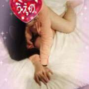 ヒメ日記 2026/02/19 11:45 投稿 上野 松戸おかあさん