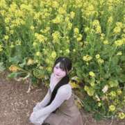 ヒメ日記 2026/02/17 12:54 投稿 らん シャブール