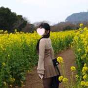 ヒメ日記 2026/02/17 23:54 投稿 らん シャブール