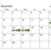 ヒメ日記 2025/12/11 12:23 投稿 星奈【ホシナ】 LOVEキタ兎我野店