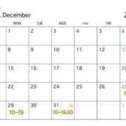 ヒメ日記 2025/12/27 00:23 投稿 星奈【ホシナ】 LOVEキタ兎我野店