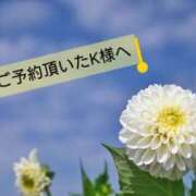 ヒメ日記 2026/01/27 10:36 投稿 武田あず 五十路マダム 愛されたい熟女たち 高松店