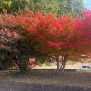 ヒメ日記 2026/01/18 12:01 投稿 ほなみ 小田原人妻城