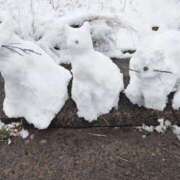 ヒメ日記 2026/02/08 16:32 投稿 ほなみ 小田原人妻城