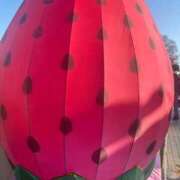 ヒメ日記 2026/02/23 21:22 投稿 ほなみ 小田原人妻城