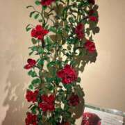 ほなみ パカパカ 小田原人妻城