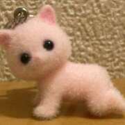 ヒメ日記 2025/12/22 20:10 投稿 るり abc＋