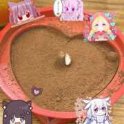 ヒメ日記 2026/02/09 11:11 投稿 るり abc＋