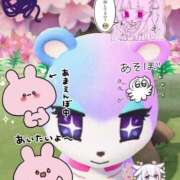 ヒメ日記 2026/04/01 20:17 投稿 るり abc＋