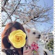 ヒメ日記 2026/04/03 12:00 投稿 星野 はづき セカンドパートナー池袋