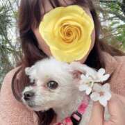 ヒメ日記 2026/04/09 13:47 投稿 星野 はづき セカンドパートナー池袋