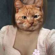 ゆめ 🐻 トマトなび