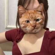 ヒメ日記 2026/03/09 16:21 投稿 ゆめ トマトなび