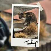 ヒメ日記 2026/02/05 10:29 投稿 じゅんな 奥様鉄道69 岡山店