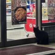 ヒメ日記 2026/02/06 23:49 投稿 じゅんな 奥様鉄道69 岡山店