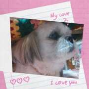 ヒメ日記 2026/02/08 12:23 投稿 じゅんな 奥様鉄道69 岡山店