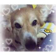 ヒメ日記 2026/02/08 12:49 投稿 じゅんな 奥様鉄道69 岡山店