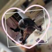 ヒメ日記 2026/02/08 13:19 投稿 じゅんな 奥様鉄道69 岡山店