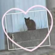 ヒメ日記 2026/02/21 11:47 投稿 じゅんな 奥様鉄道69 岡山店