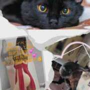 ヒメ日記 2026/02/22 12:31 投稿 じゅんな 奥様鉄道69 岡山店