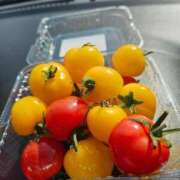 ヒメ日記 2026/02/23 12:19 投稿 じゅんな 奥様鉄道69 岡山店