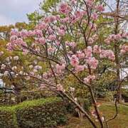 ヒメ日記 2026/02/24 00:39 投稿 じゅんな 奥様鉄道69 岡山店