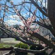 ヒメ日記 2026/03/04 17:09 投稿 じゅんな 奥様鉄道69 岡山店