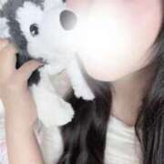 ヒメ日記 2025/12/15 13:30 投稿 なほ ホワイトハウス